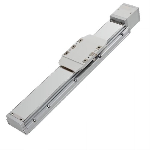 Módulo lineal de doble carril, actuador de guía lineal FCH60 50-1000mm con servomotor de 400 W