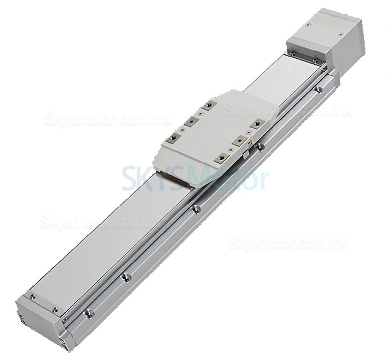 Módulo lineal de doble carril, actuador de guía lineal FCH60 50-1000mm con servomotor de 400 W